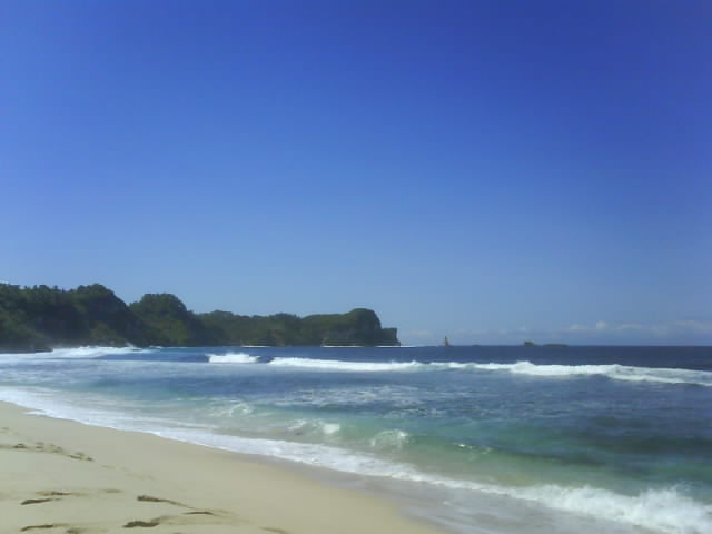 DSC00239